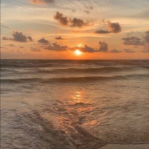 Meet your Posher, Charli